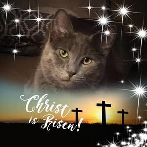 Meet your Posher, Patty